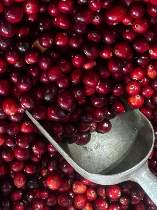 Can You Eat Cranberries Raw? 8 Essential Facts You Need to Know!