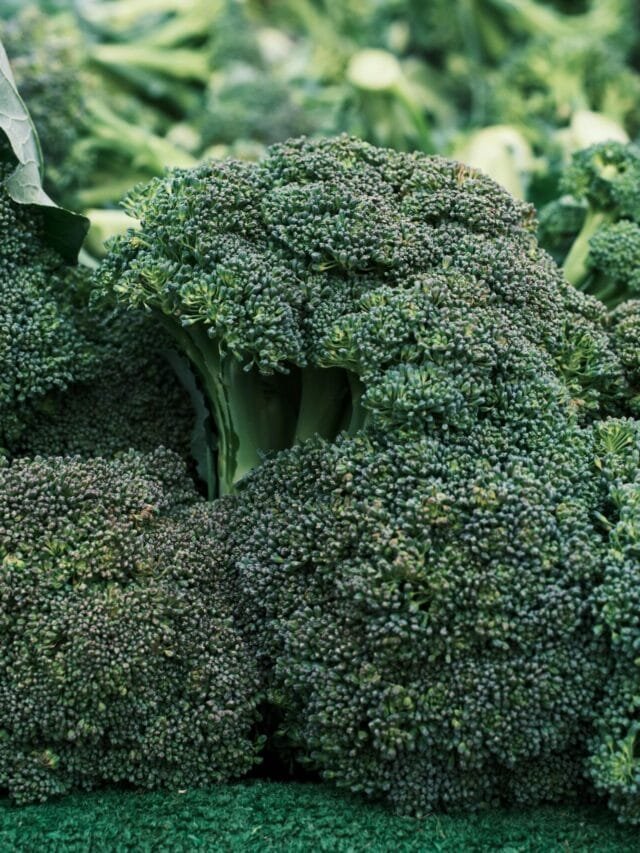 diet food