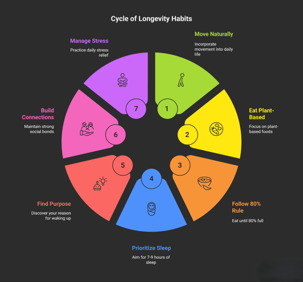 cycle of longevity habits