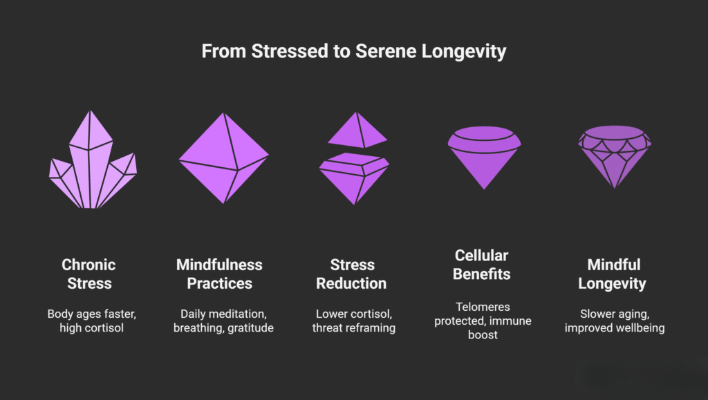An infographic titled “From Stressed to Serene Longevity” shows the progression from chronic stress to mindful longevity using a series of purple geometric crystal icons on a dark background. It includes five stages:

Chronic Stress – Body ages faster, high cortisol.

Mindfulness Practices – Daily meditation, breathing, gratitude.

Stress Reduction – Lower cortisol, threat reframing.

Cellular Benefits – Telomeres protected, immune boost.

Mindful Longevity – Slower aging, improved wellbeing.
