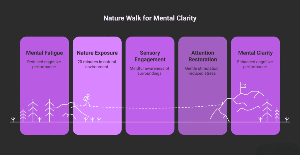 An infographic titled “Nature Walk for Mental Clarity” showing five stages of mental improvement from spending time in nature. The stages are:

Mental Fatigue – reduced cognitive performance,

Nature Exposure – 20 minutes in a natural environment,

Sensory Engagement – mindful awareness of surroundings,

Attention Restoration – gentle stimulation and reduced stress,

Mental Clarity – enhanced cognitive performance.
Illustrations below the text depict a continuous landscape with trees, hills, and a person walking through nature, symbolizing the journey from fatigue to clarity. The background is dark with purple panels.