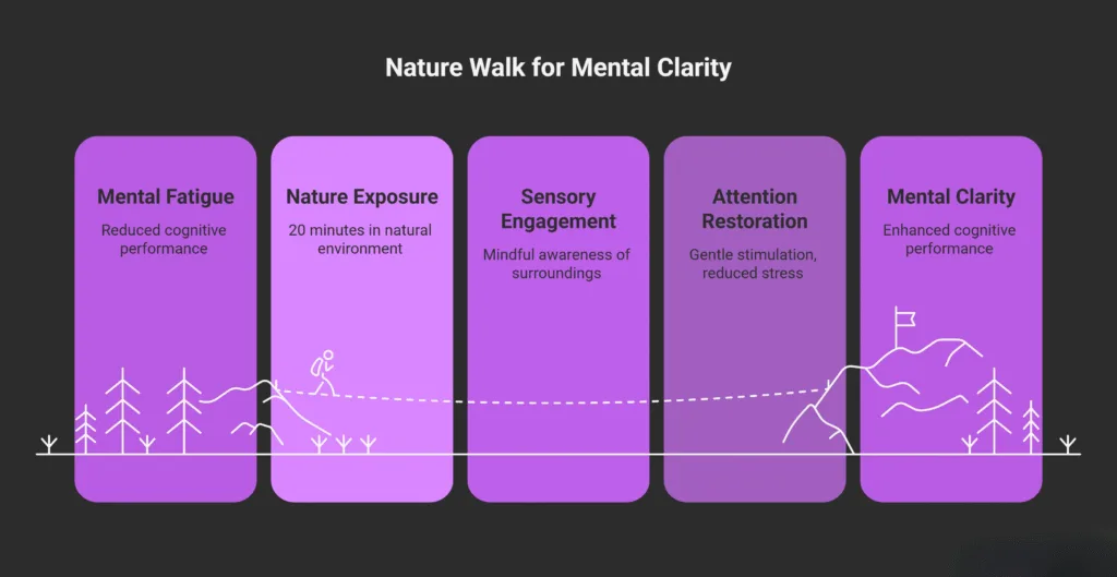 An infographic titled “Nature Walk for Mental Clarity” showing five stages of mental improvement from spending time in nature. The stages are:

Mental Fatigue – reduced cognitive performance,

Nature Exposure – 20 minutes in a natural environment,

Sensory Engagement – mindful awareness of surroundings,

Attention Restoration – gentle stimulation and reduced stress,

Mental Clarity – enhanced cognitive performance.
Illustrations below the text depict a continuous landscape with trees, hills, and a person walking through nature, symbolizing the journey from fatigue to clarity. The background is dark with purple panels.