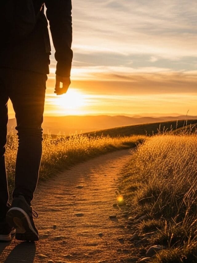 walking vs exercise longevity study