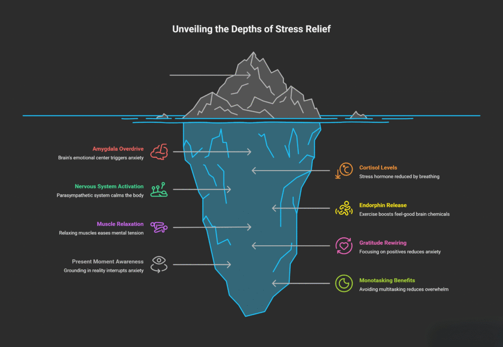 An infographic titled "Unveiling the Depths of Stress Relief" shows an iceberg illustration representing different layers of stress relief mechanisms. The top of the iceberg depicts Amygdala Overdrive (brain’s emotional center triggers anxiety) and Cortisol Levels (stress hormone reduced by breathing). Below the surface, layers include Nervous System Activation (parasympathetic system calms the body) linked to Endorphin Release (exercise boosts feel-good brain chemicals), Muscle Relaxation (relaxing muscles eases tension) connected to Gratitude Rewiring (focusing on positives reduces anxiety), and Present Moment Awareness (grounding in reality interrupts anxiety) paired with Monotasking Benefits (avoiding multitasking reduces overwhelm). The design uses color-coded icons and arrows to show connections between physiological and psychological stress relief processes.
