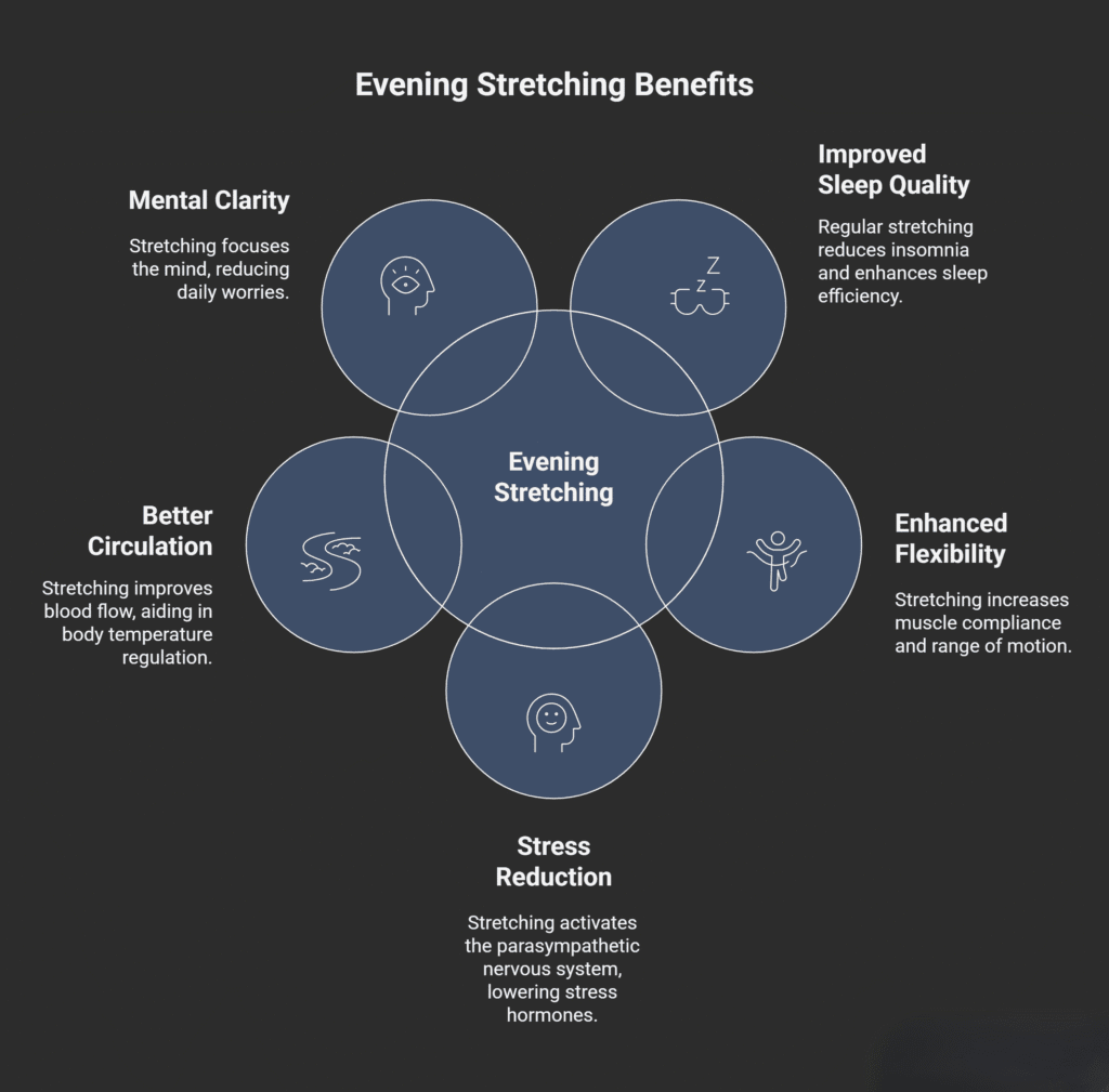 An infographic titled "Evening Stretching Benefits" shows a central circle labeled “Evening Stretching,” surrounded by five overlapping circles illustrating its advantages. The benefits include: Mental Clarity – stretching focuses the mind and reduces worries; Better Circulation – improves blood flow and body temperature regulation; Stress Reduction – activates the parasympathetic nervous system to lower stress hormones; Enhanced Flexibility – increases muscle compliance and range of motion; and Improved Sleep Quality – reduces insomnia and enhances sleep efficiency. The design uses simple line icons on a dark background.